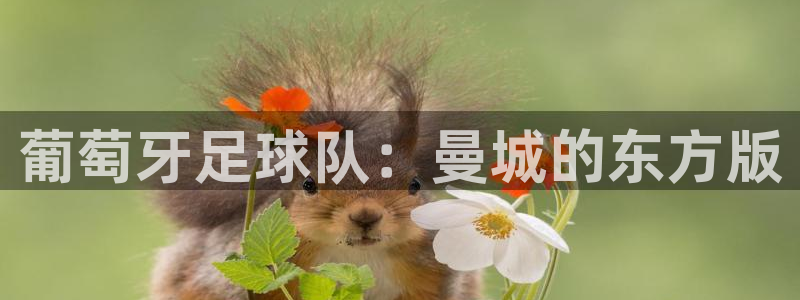葡萄牙足球队：曼城的东方版