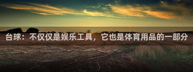 台球：不仅仅是娱乐工具，它也是体育用品的一部分