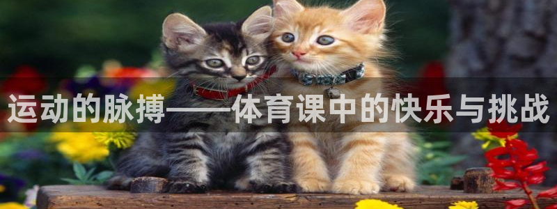 运动的脉搏——体育课中的快乐与挑战
