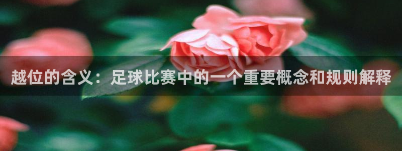 越位的含义：足球比赛中的一个重要概念和规则解释