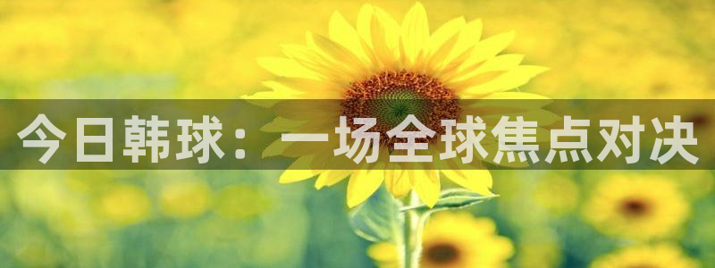 今日韩球：一场全球焦点对决