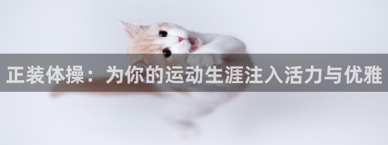 正装体操：为你的运动生涯注入活力与优雅