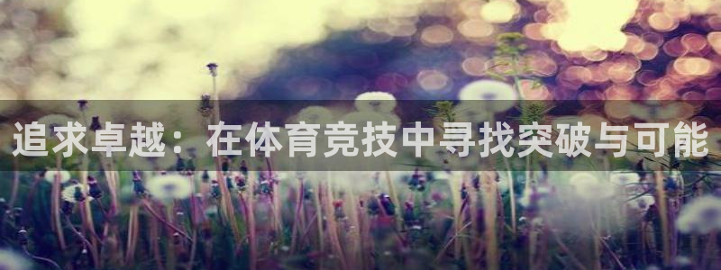 追求卓越：在体育竞技中寻找突破与可能