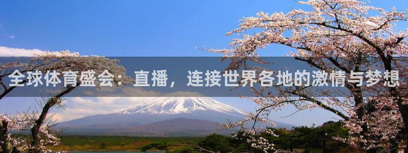 全球体育盛会：直播，连接世界各地的激情与梦想