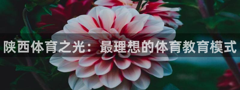 陕西体育之光：最理想的体育教育模式