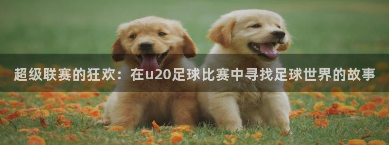 6886体育官网app：超级联赛的狂欢：在u20足球比赛中寻找足球世界的故事
