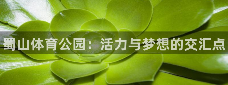 88体育网：蜀山体育公园：活力与梦想的交汇点