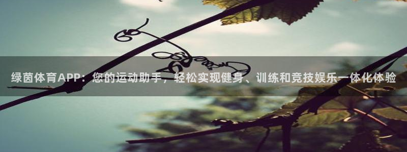 88体育在线直播观看：绿茵体育APP：您的运动助手，轻松实现健身、训练和竞技娱乐一体化体验