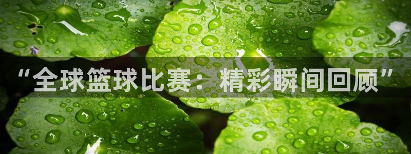 88直播体育nba手机：“全球篮球比赛：精彩瞬间回顾”