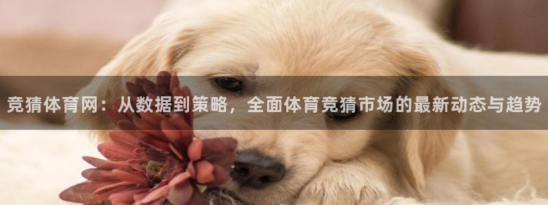 看球88体育