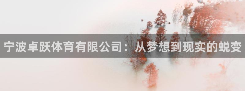 f88体育app：宁波卓跃体育有限公司：从梦想到现实的蜕变