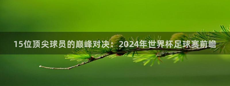 88看球体育：15位顶尖球员的巅峰对决：2024年世界杯足球赛前瞻