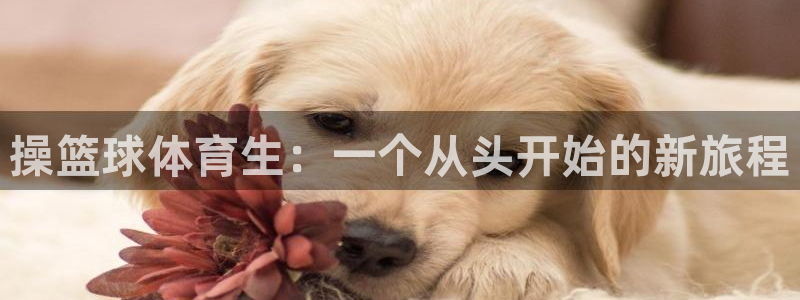 88体育是正规平台吗