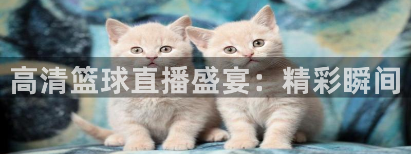 88影视网下载苹果版：高清篮球直播盛宴：精彩瞬间