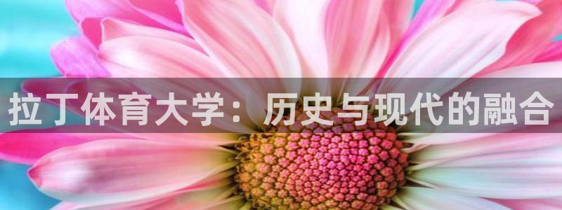88看球体育